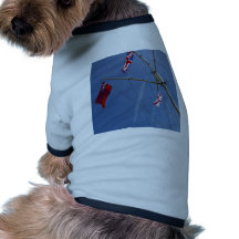 Rule Britannia Dog T Shirt