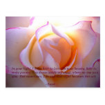 Rumi loverose postcard carte postale