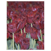 Run Through the Tulips Flyer