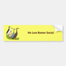 Runner Duck Assortment Bumper Sticker