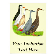 Runner Duck Assortment Custom Invite