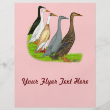 Runner Duck Assortment Flyer