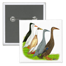 Runner Duck Assortment Pinback Buttons