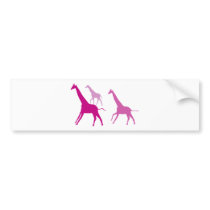 Running Giraffes (Purple) Bumper Stickers