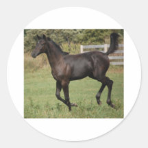 Running-Horse-2 Adhésifs