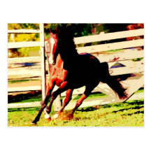 Running Horse Post Cards