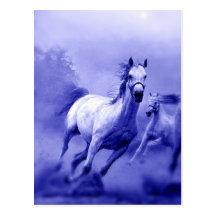 Running Horse Post Cards