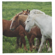Running Horses Napkin