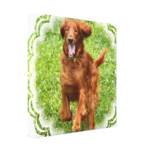 Running Irish Setter Canvas Print
