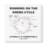 Running On The Krebs Cycle (Science Humour)