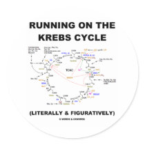 Running On The Krebs Cycle (Science Humour)