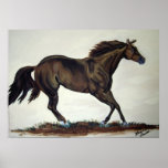 Running Quarter Horse Print