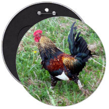 Running Rooster Button