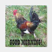 Running Rooster Magnet