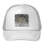 Running Saint Bernard Baseball Hat