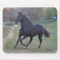 Running Stallion Mousepads