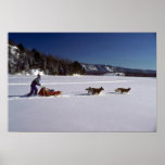 Running the team, Quebec Poster