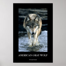 Running Wolf