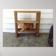 Runt on shelf print