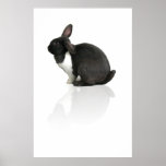 RupertPoster