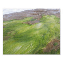 RUPTURE NATURELLE D'ANGE DE PLAGE  TIRAGE PHOTO