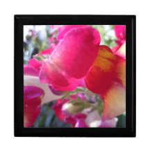 Ruptures assez de rose et de blanc coffret cadeau