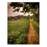 Rural Americana North Carolina Postcards