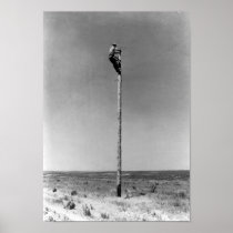 Rural Lineman Poster