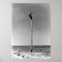 Rural Lineman Poster