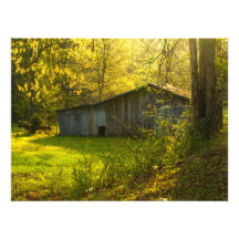 Rural Tennessee Spring Morning Light Photographic Print