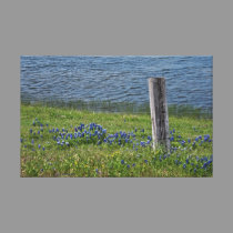 Rural Texas in Spring canvas print canvas prints