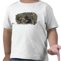 Rural Vaccination t-shirts