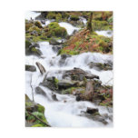 Rushing Waukeena Falls Oregon Postcard
