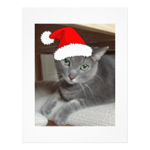 Russian Blue Cat Christmas Personalized Letterhead