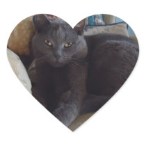 Russian Blue Stickers