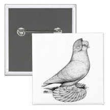 Russian Tumbler Pigeon Pins