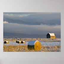 Rustic barn and hay bales after a fresh snow 3 poster