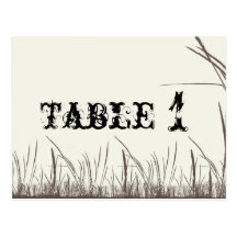 Rustic Country Grasslands Table Number Post Cards