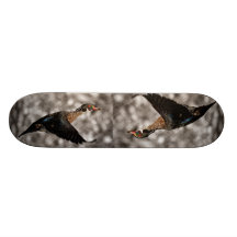 Rustic  country Vintage Flying Duck Skateboard