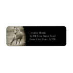 Rustic Galloping Andalusian Horse Return Address Labels
