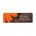Rustic Orange Daisy Return Address Label