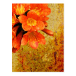 Rustic Red Flowers Post Cards