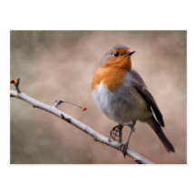 Rustic Robin Postcard