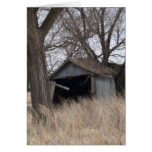 Rustic Shed Cards