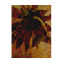 Rustic Sunflower Post Card
