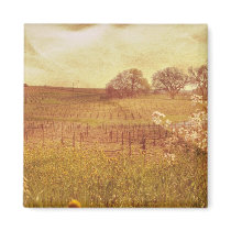 Rustic Vineyard in Napa Valley California Magnet