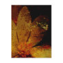 Rustic White Flower Post Cards