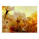 Rustic White Flowers Postcard