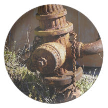 Rusty Hydrant Party Plates