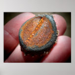 Rusty Ocean Bottle Cap posters